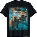 Funny Graphic Capybara Gift Ideas