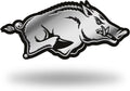 NCAA Molded Auto Emblem