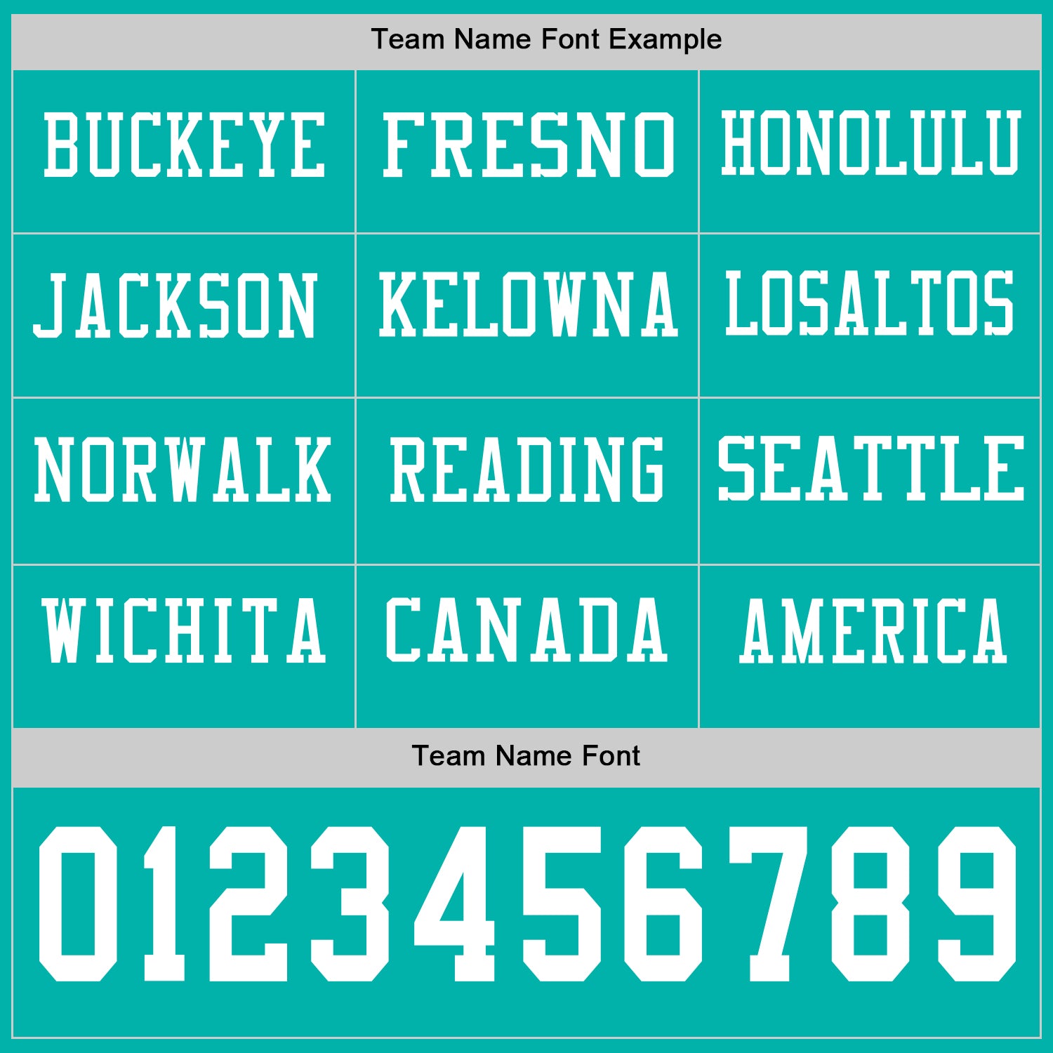 Custom Aqua White Long Sleeve Authentic Football Jersey