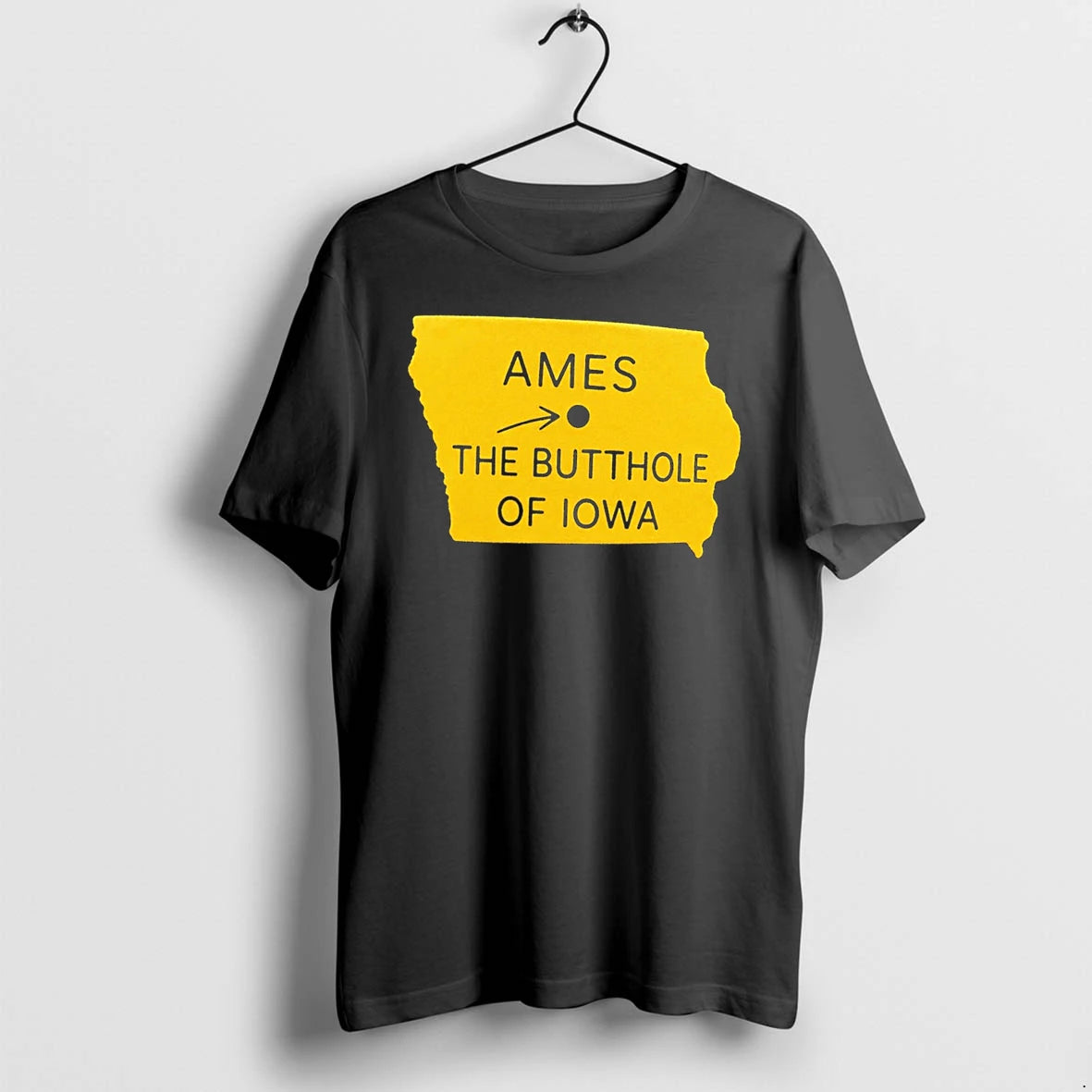 Officials Ames The Butthole Of Lowa Tee Premium T Shirt