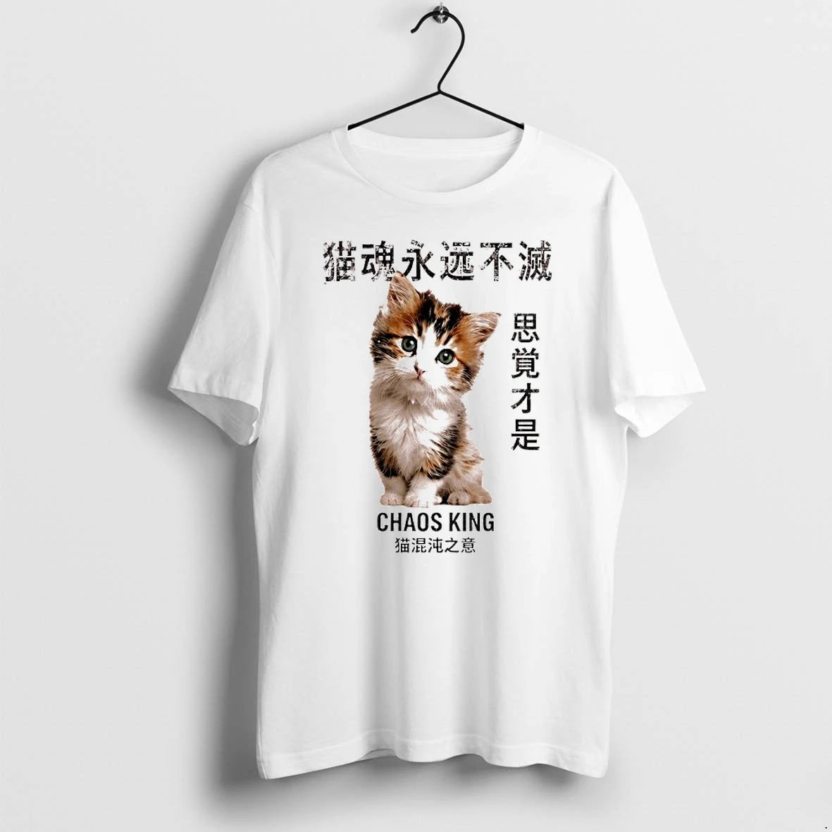 Officials Here The Whole Time Miguel Lallo Felipe Chaos King Cute Kitten