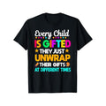Education Teacher Child Gifted SPED Educator Comfortable Casual Short Sleeve Daily All Season Black 180g Made USA T-Shirts