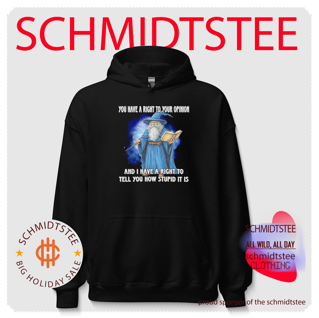Wizard You have a right to your opinion and I have a right to tell you how stupid it is shirt