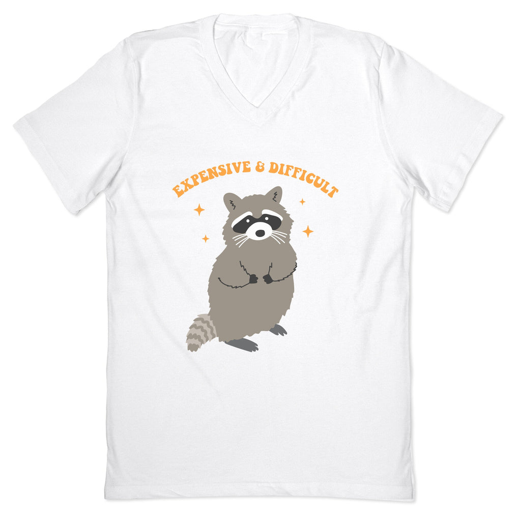 Expensive and Difficult V-Neck