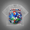 France World Cup 2026 Rooster Washed T-Shirt Soccer Graphic Tee Streetwear Gift