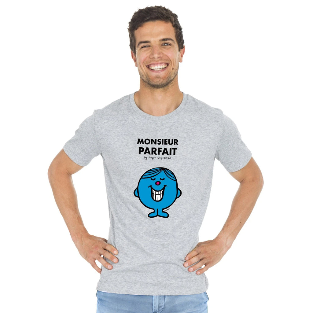 T-Shirt Man short Sleeve Gray, Mr Perfect