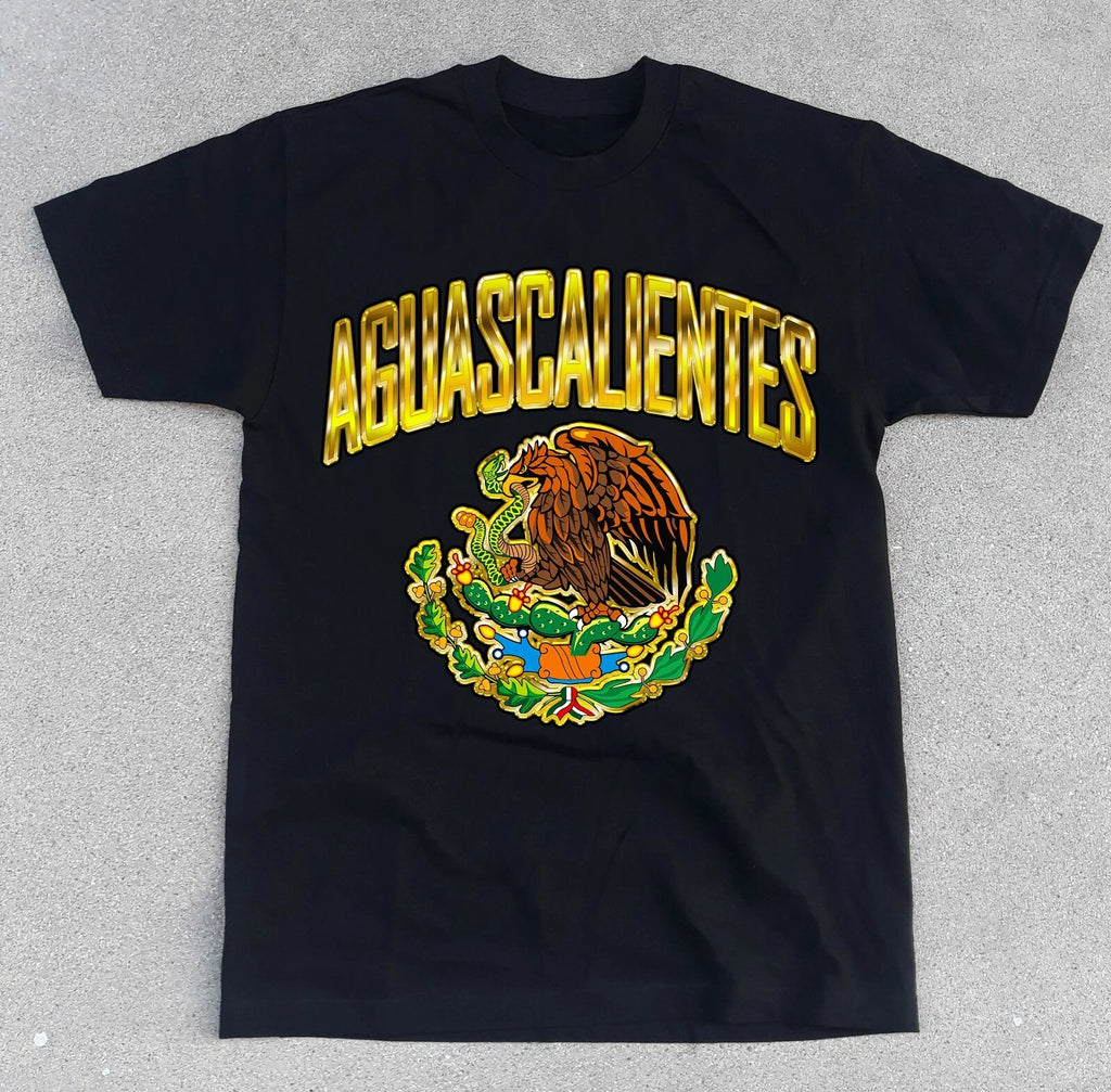 Mexico AGUASCALIENTES State Shirt. Mexican Flag Eagle Soccer Futbol City NEW!