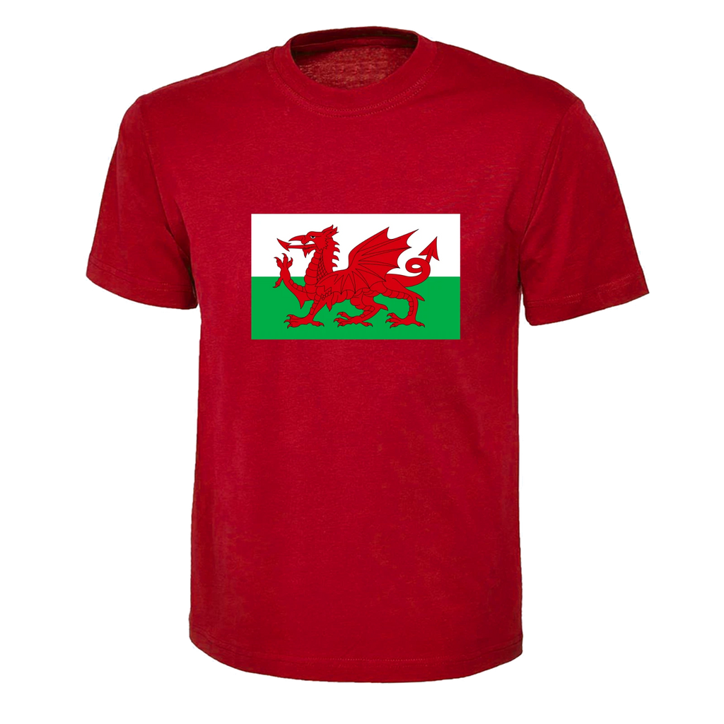 Wales Flag Red Dragon T-shirt for Adult, Children Ladies World Cup Football 2026