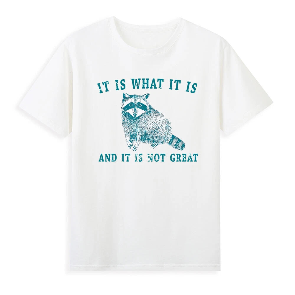 It Is What It Is And It Is Not Great Funny Raccoon Meme Sarcastic Quotes T-Shirt