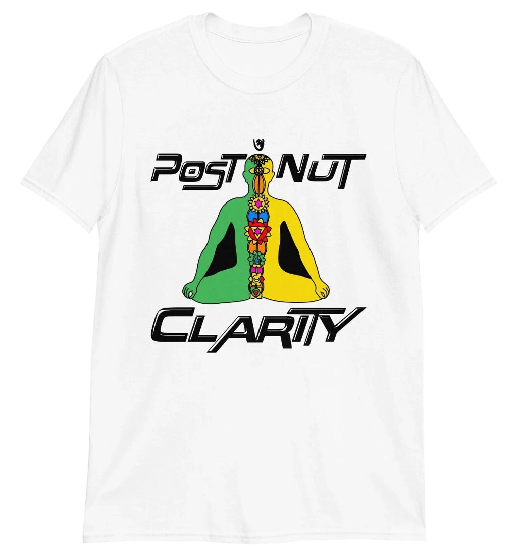 Post Nut Clarity T shirt | Funny Sarcastic Men Women Orgasm | aesthetic