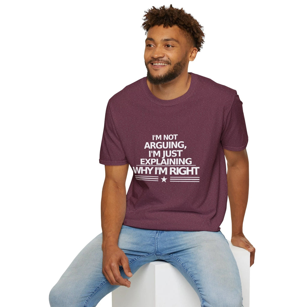 Funny Explanation Tee, Sarcastic Graphic Shirt, Unisex Softstyle T-Shirt,