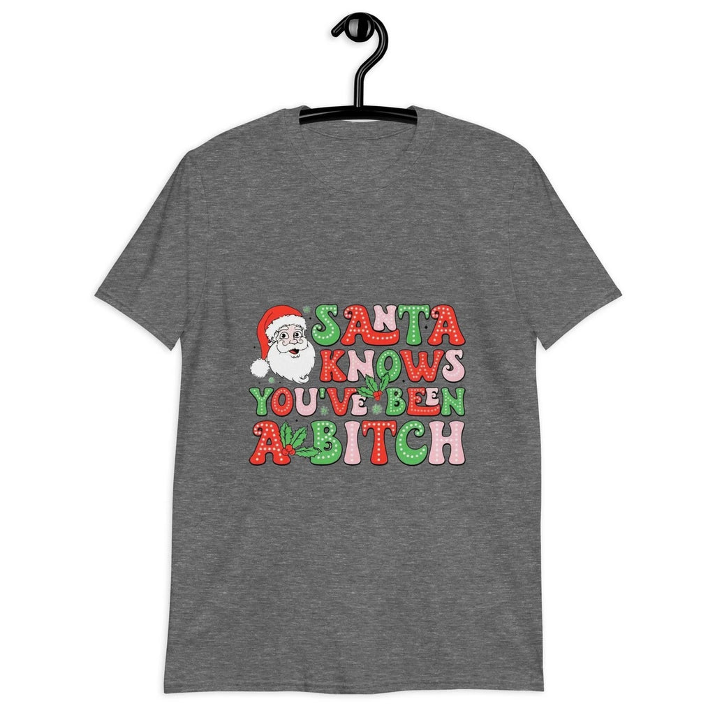 Santa Knows You Have Been a Bitch Ladies T-Shirt