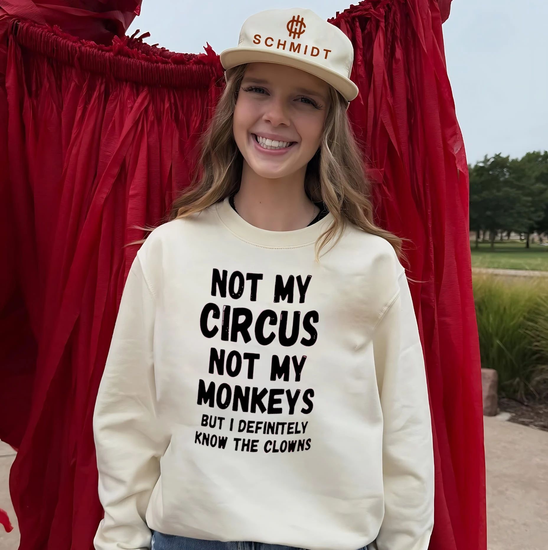 Not my circus not my monkeys but I definitely know they clowns shirt