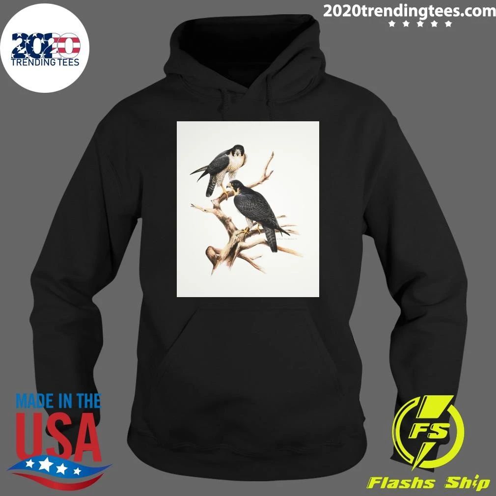Roger Tory Peterson Peregrines Adult Ash 2026 Tee Shirt